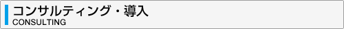 �R���T���e�B���O�E���� CONSULTING